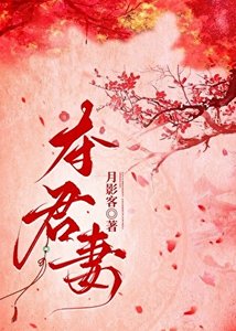 《夺君妻》