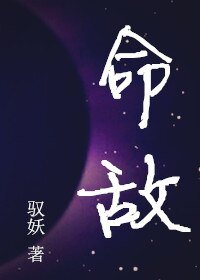 （BL/EXO同人）命敌