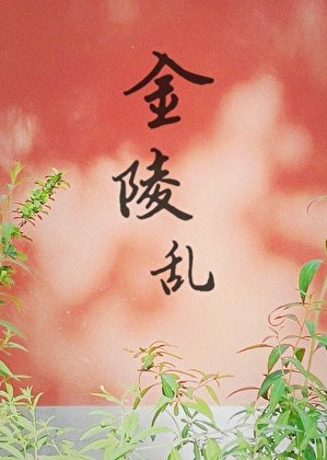 《金陵乱》