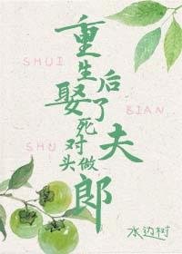 《重生后娶了死对头做夫郎》
