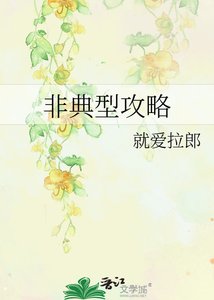 《非典型攻略》