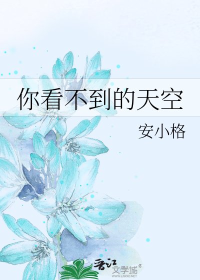 《你看不到的天空》