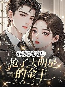 《小助理变美后,抢了大明星的金主》