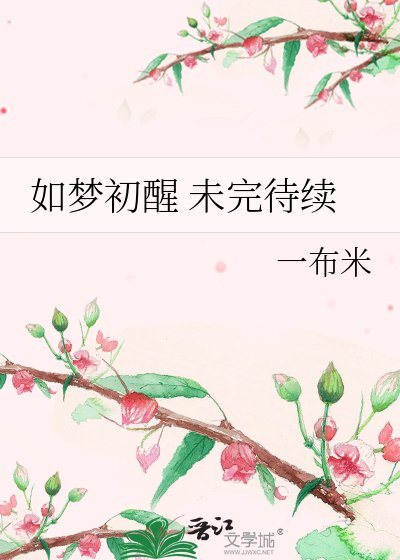 《如梦初醒 未完待续》