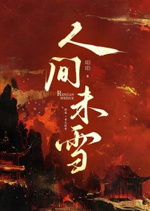 《人间未雪》