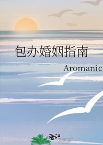 《包办婚姻指南》