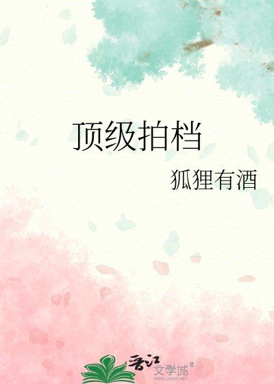 《顶级拍档》