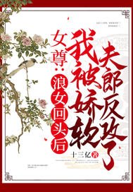 《女尊:浪女回头后,我被娇软夫郎反攻了》