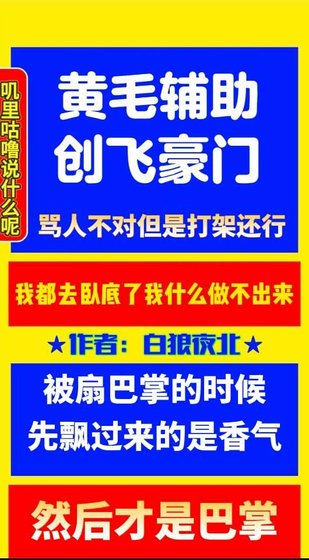 《黄毛辅助,创飞豪门》