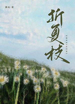 折夏枝[追妻火葬场]