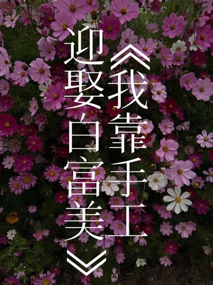 《我靠手工赢娶败富美(虫族)》