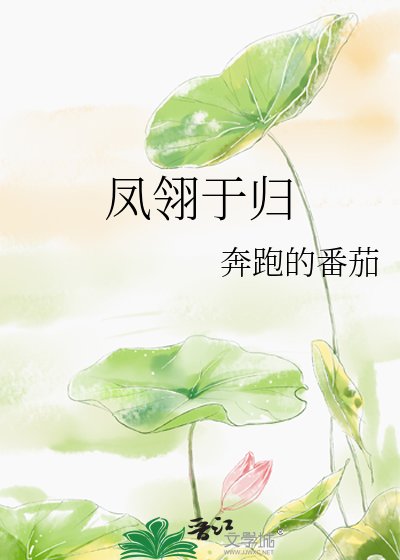 《凤翎于归》