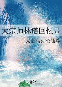 《宗师林诺的回忆录》