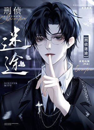 《刑侦:迷途》