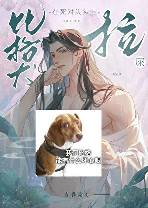 《比格犬在寺对头头上拉屎》