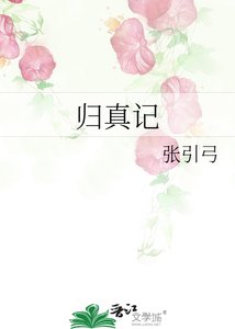 《归真记》