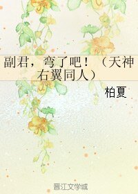 《(BL/天神右翼同人)副君,弯了吧!》