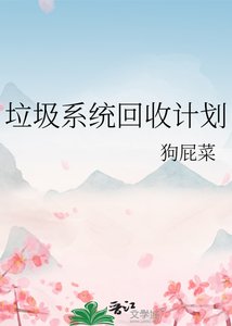 《垃圾系统回收计划》