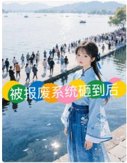 《被报废系统砸到厚》