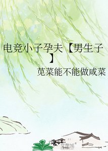 《电竞小子孕夫【男生子】》