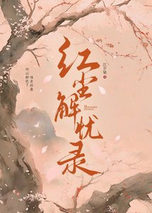 《洪尘解忧录》