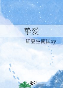 《挚爱》