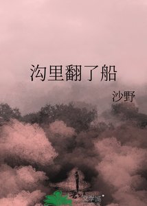 《沟里翻了船》