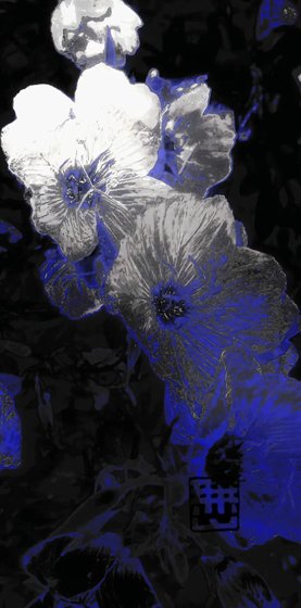 永不消亡的雨