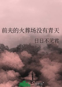 《前夫的火葬场没有青天》