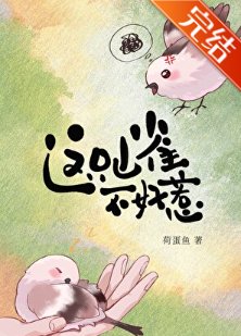 《这只山雀不好惹》