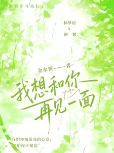 《我想和你再见一面》