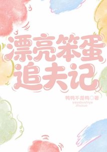 《漂亮笨蛋追夫记》