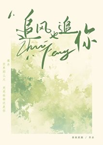 《追风也追你》