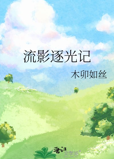 《流影逐光记》