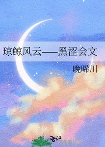 《琼鲸风云——黑涩会文》