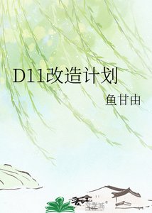 《D11改造计划》