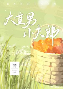 《大直男小夫郎》