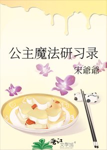 《公主魔法研习录》
