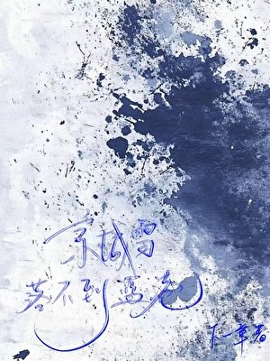 《京城雪落不到蓝港》