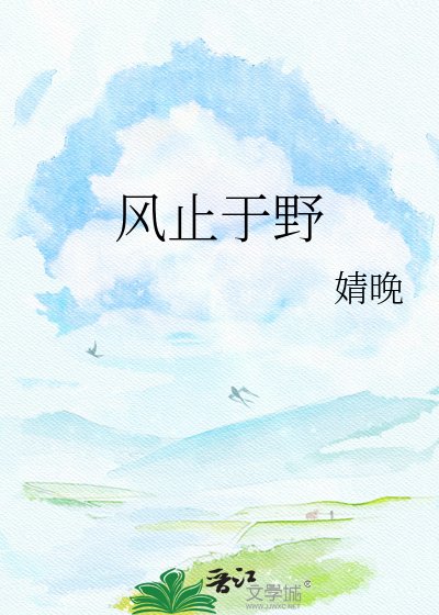 《风止于野》