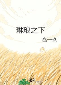 《琳琅之下》