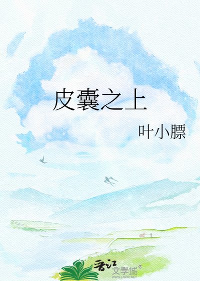 皮囊之上