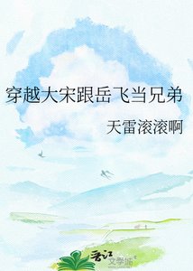《穿越大宋跟岳飞当兄弟》