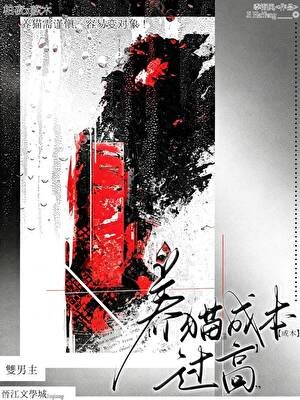 养猫成本过高