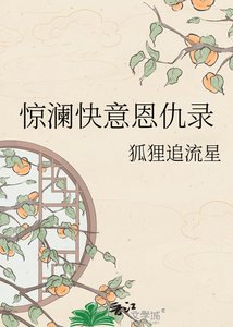 《惊澜快意恩仇录》