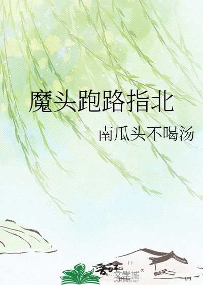 《魔头跑路指北》