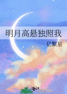 《明月高悬独照我》