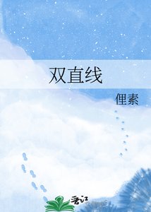 《双直线》