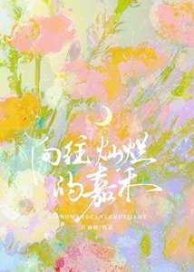 《向往灿烂的嘉禾》