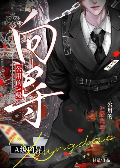 《公用的A级向导》